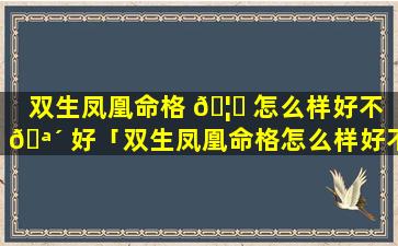 双生凤凰命格 🦟 怎么样好不 🪴 好「双生凤凰命格怎么样好不好呀」